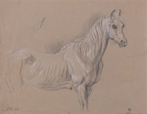 A Mare- Possibly a Study for L